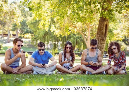 Friends looking at their smartphone in the park on a sunny day