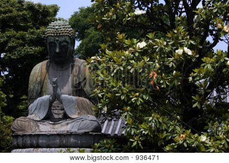 Buddha