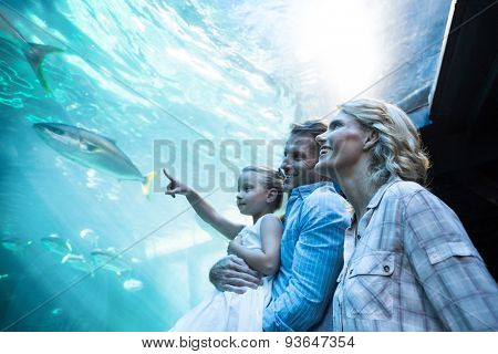 Familly looking at fish tank at the aquarium