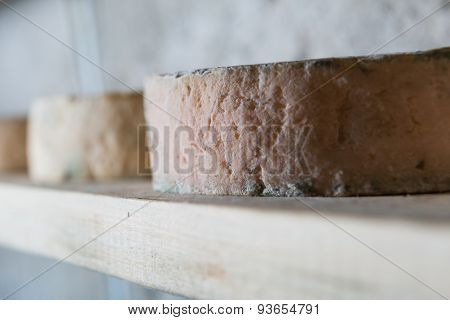 French Goat Cheese Maturing In Basement