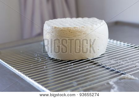 French Goat Cheese Maturing In Basement