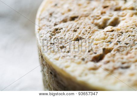 French goat cheese with mystic light effect
