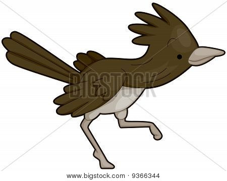 Roadrunner