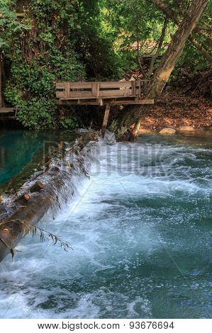 Flowing Water In Forest