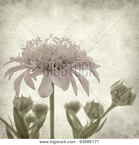Textured Old Paper Background
