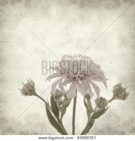 Textured Old Paper Background