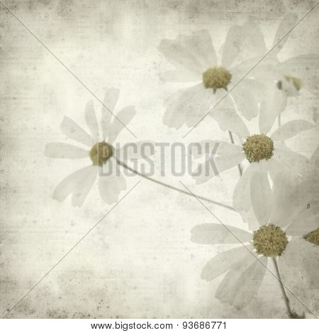 Textured Old Paper Background