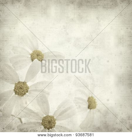 Textured Old Paper Background