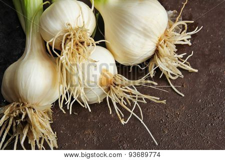 Fresh garlic from grown in kitchen garden