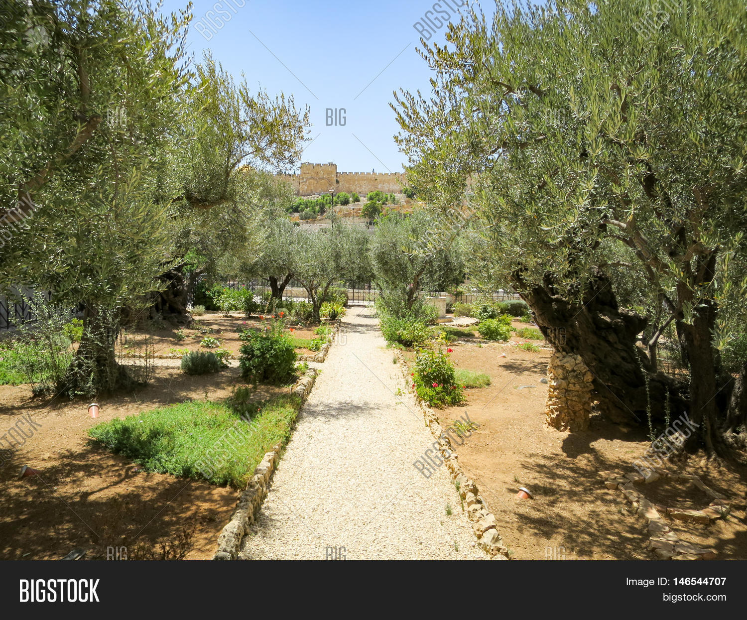 Garden Gethsemane Image & Photo (Free Trial) Bigstock