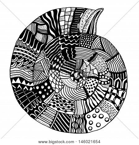 Shell, zentangle patterned seashell, black and white page for adult colouring book, doodle vector design