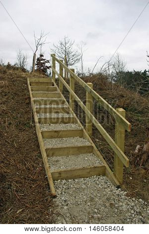 New set of steps up a on a rural footpath with a timber handrail edges and risers backfilled with stone. Background of grey sky and trees.