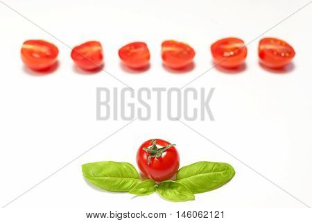 Cherry Tomato and Basil leafs on white background, copy space