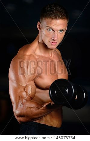 Handsome Muscular Bodybuilder Man Doing Exercises In Gym