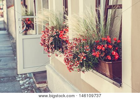 Window decorated with red flowers. Retro stylized.