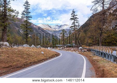 road to the snow mountain with pine forest on the way.