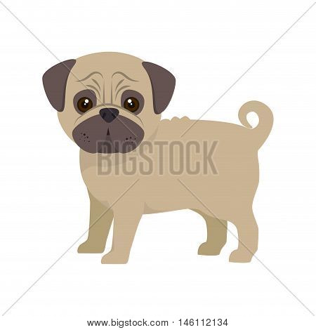 pug breed dog canine pet animal. puppy cartoon. vector illustration