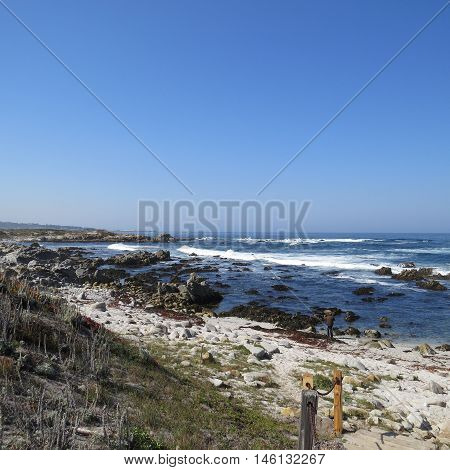 This is an image of the rocky shoreline of Asilomar State Preserve in Pacific Grove, California.