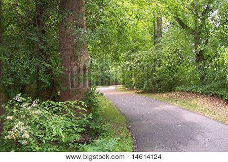Szlakiem Greenway