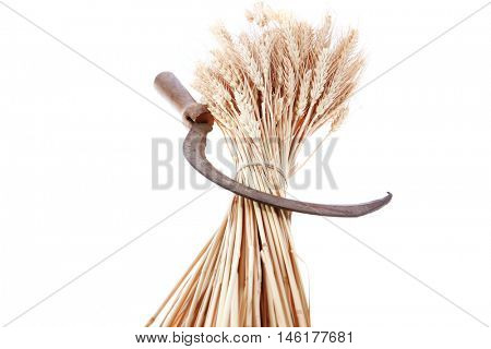 bunch of mown wheat ears with vintage handmade reaper hook sickle isolated on white background