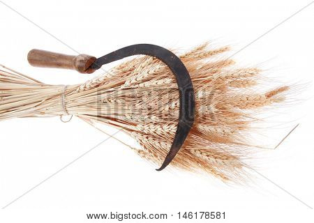 bunch of mown wheat ears with vintage handmade reaper hook sickle isolated on white background