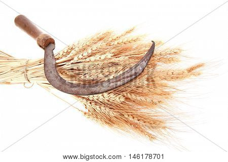 bunch of mown wheat ears with vintage handmade reaper hook sickle isolated on white background