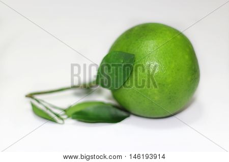 Green orange with leaves on white background