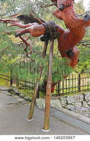Old Japanese pine tree being propped up at Tenryuji Temple in Kyoto, Japan.