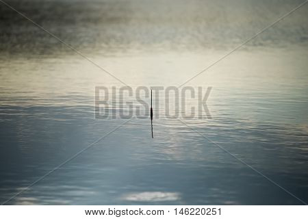 Fishing Bobber on the water. Fishing on the river.