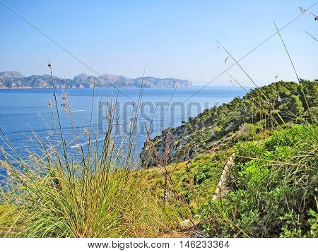 Bay Of Pollenca, Formentor Peninsula - North Coast Of Majorca