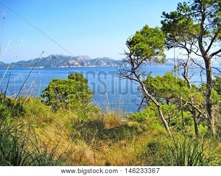 Bay Of Pollenca, Formentor Peninsula - North Coast Of Majorca