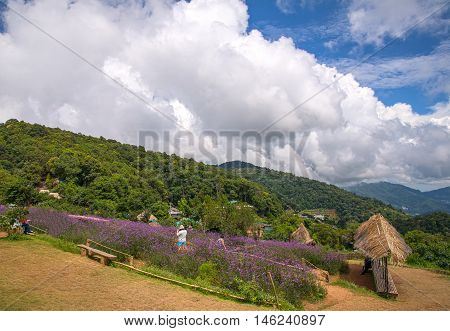 Mon Jam viewpoint at Chiang Mai Thailand.