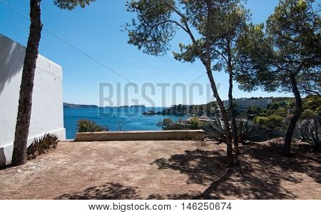 Pine trees and white wall on a sunny day in Cala Fornells Mallorca Spain.