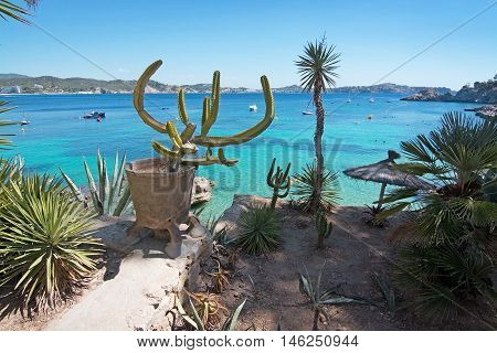 Cactus Garden And Green Water