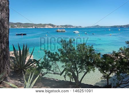 Cala Fornells Beach