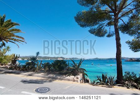 Cala Fornells Beach