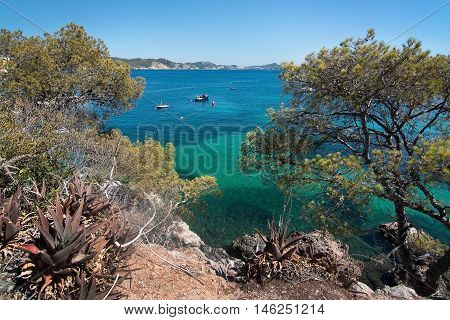 Cala Fornells Beach