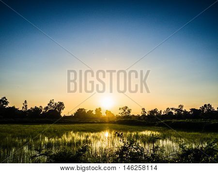 Agriculture farm with silhouette light 
at evening