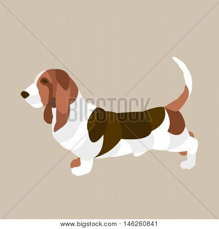 basset hound Flat style vector illustration side view
