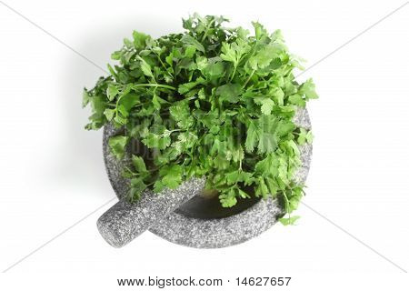Granit pestle และปูนกับผักชี