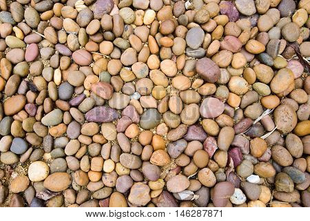 Multi color sea rock pebbles for  background texture