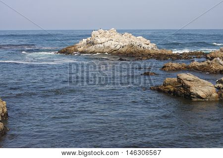 This is an image of rocks just off the coast of Asilomar State
Beach in Pacific Grove, California.