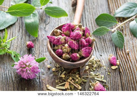 Dry flower rose tea buds in a wooden spoon. Concept of well-being, colors, dieting and healthy lifestyle