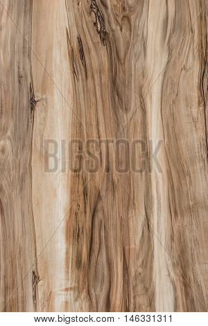 texture of wooden board with a beautiful pattern