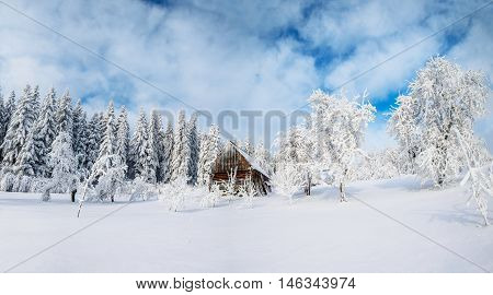 beautiful wooden house in a winter sunny day