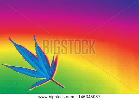 Beautiful rainbow marijuana ganja background and image