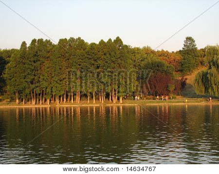 Bosco autunnale nei pressi del lago