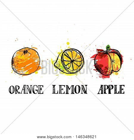 vector set of hand drawn fruits, oarnge, lemon an apple, ink drawing vector elements with color blobs