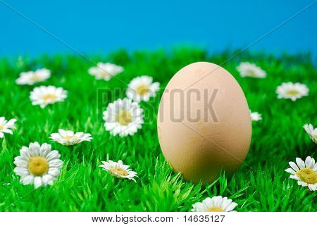 easter egg
