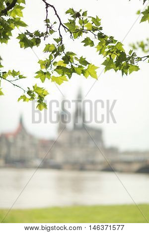 acernus folium View of the old town of Dresden Saxony Germany